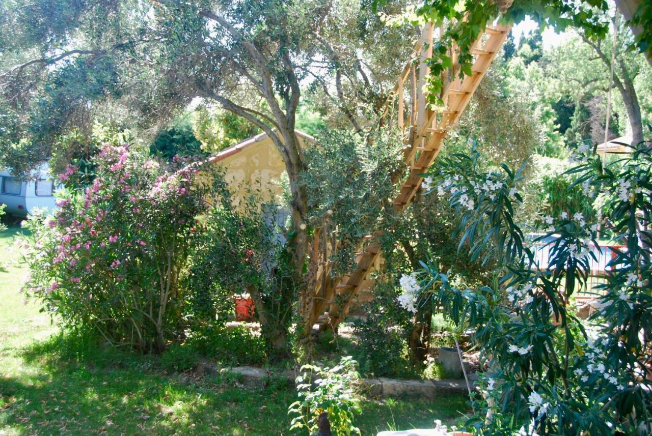 Willa Les Volets Bleus Provence Salon-de-Provence Zewnętrze zdjęcie