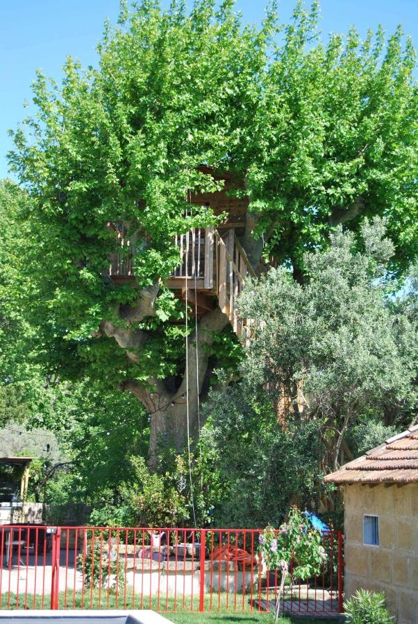 Willa Les Volets Bleus Provence Salon-de-Provence Zewnętrze zdjęcie