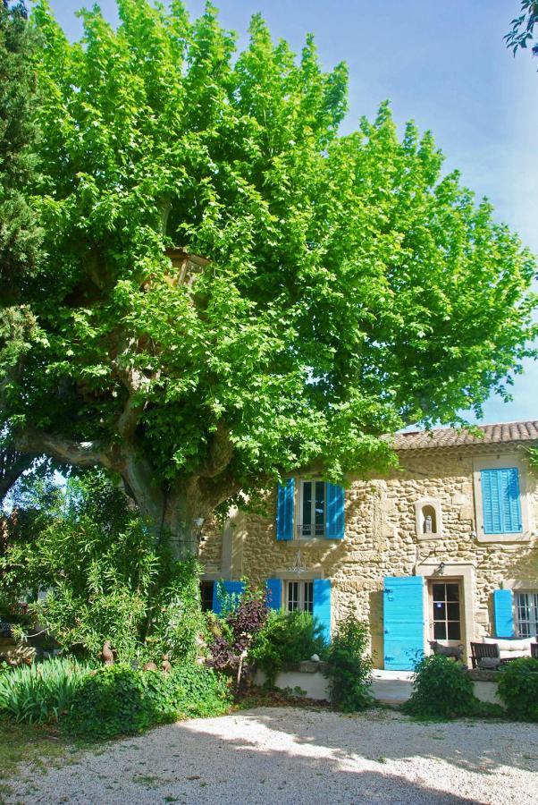 Willa Les Volets Bleus Provence Salon-de-Provence Zewnętrze zdjęcie